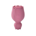 Lick- und Saug-Vibrator