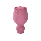 Lick- und Saug-Vibrator